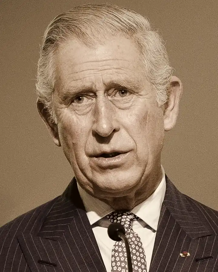 Prinz Charles, Porträt von 2015
